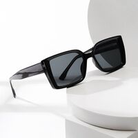 Plastic sunglasses with square frame for men Elit BZ3246-EL