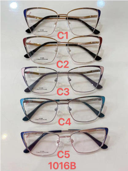 Metal frames for glasses Polar Fashion 1016B