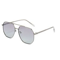 Polarized metal sunglasses with UV400 protection 2969-GT