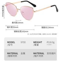 Photochromic glasses with blue light and UV protection 9700-GT