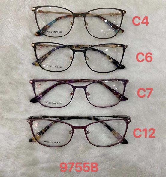 Metal frame for glasses with spring hinges 9755B