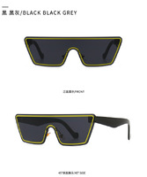 Солнцезащитные очки Elit цельные в современном стиле 0856