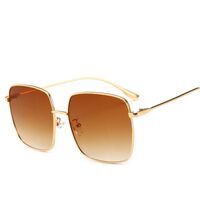 Polarized metal sunglasses with UV400 protection 2699-2-GT