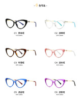 Plastic frames for glasses TR90+CA material (flex hinges) FOCUS FCS2073