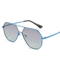 Polarized metal sunglasses with UV400 protection 2967-GT