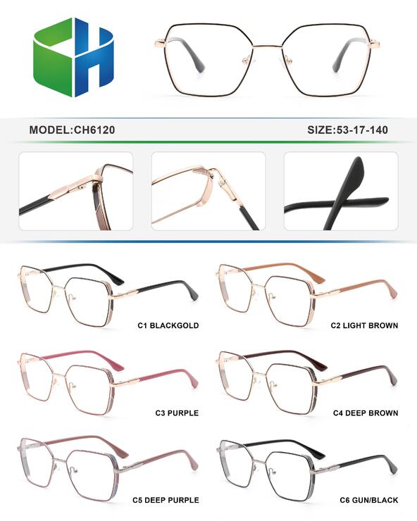 Оправа металлическая с флексом CH6120-DA