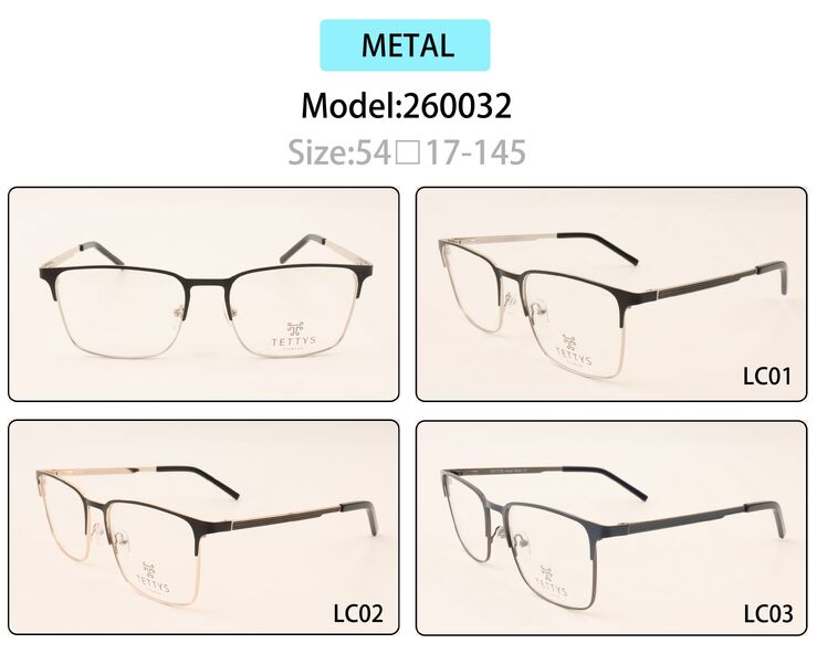 Metal eyeglasses frame for men with spring hinges 260032 (item in stock)