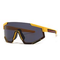 Plastic sunglasses Elit SPS04-EL