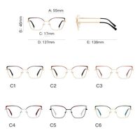 Metal Blue Blocker frames for glasses MORE FCS3097