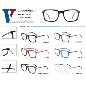 Plastic acetate + metal frame with spring hinges CH6202-DA