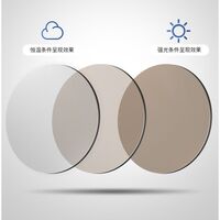 Photochromic glasses with blue light and UV protection 9660-GT