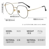 Очки металлические фотохромные с защитой от синего света 9629-2-GT