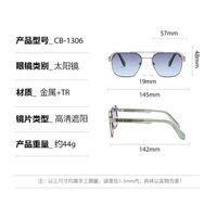Plastic + metal square sunglasses for men Elit CB-1306-EL