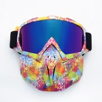 Safety shockproof sports goggles - mask 风镜-鹰嘴面罩转印