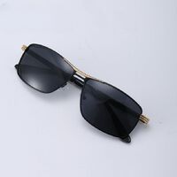 Photochromic glasses with blue light and UV protection 2871-GT