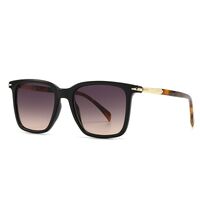 Plastic sunglasses with anti-blue light protection Elit 2409-EL