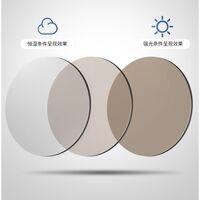 Photochromic glasses with blue light and UV protection 9669-GT