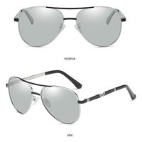 Photochromic glasses with blue light and UV protection 2802-GT