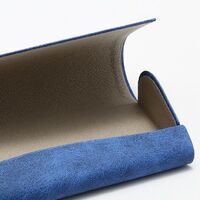 Sunglasses and eyeglasses hard shell case HD20240319