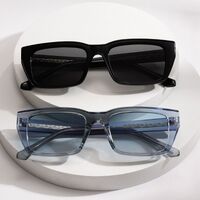 Plastic sunglasses with square frame for men Elit BZ3249-EL