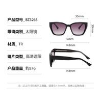 Plastic sunglasses with square frame for men Elit BZ3263-EL
