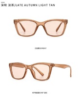 Sunglasses Elit classic 8K12