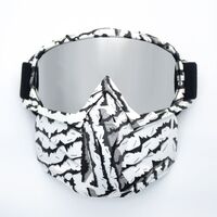 Safety shockproof sports goggles - mask 风镜-鹰嘴面罩转印