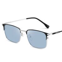 Photochromic glasses with blue light and UV protection 9660-GT