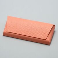 Sunglasses and eyeglasses hard shell case JQ0001-14