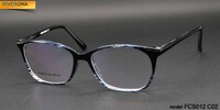 Plastic frames for glasses TR-90 + CA material (flex hinges) FOCUS FCS012
