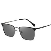 Photochromic glasses with blue light and UV protection 9662-GT