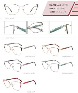 Оправа металлическая полуободковая с флексом LE6441-DA