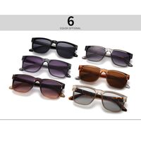 Plastic square sunglasses for men Elit 3608-EL