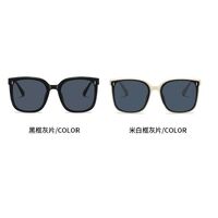 Plastic sunglasses FR201