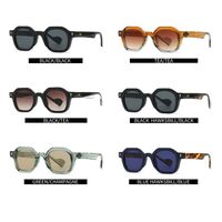 Plastic retro sunglasses Elit 6058-EL