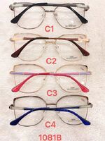 Metal frame for glasses with spring hinges 1081B