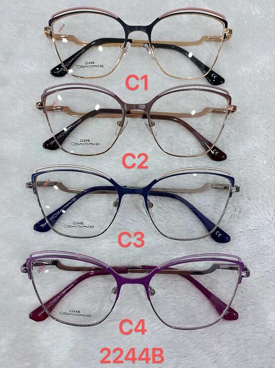 Metal frame for glasses with spring hinges 2244B