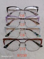 Metal frame for glasses with spring hinges 9723B
