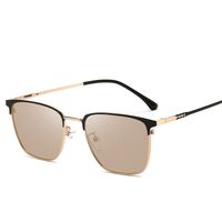 Photochromic glasses with blue light and UV protection 9667-GT