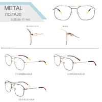 Metal frames for glasses Big City 7024A20