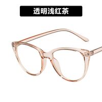 Plastic glasses with blue light protection for women 2479-PN