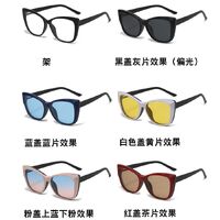 TR90/PC plastic frame + 5 polarized sun protection magnet clip-on set + leather bag El Dorado EL2353D