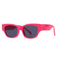Plastic retro sunglasses Elit 86613-EL