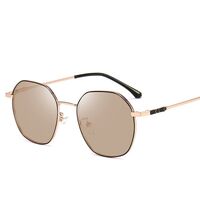 Photochromic glasses with blue light and UV protection 9673-GT