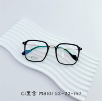 Titanium frame SANTA M8101