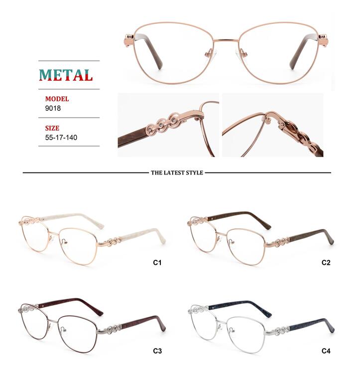 Metal frames for glasses with spring hinges Big City RD9018