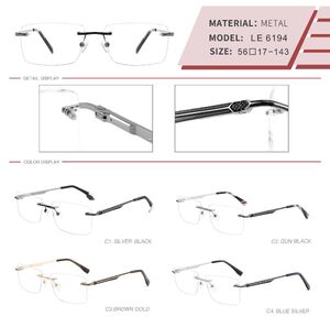Оправа металлическая безободковая на винтах мужская с флексом LE6194-DA