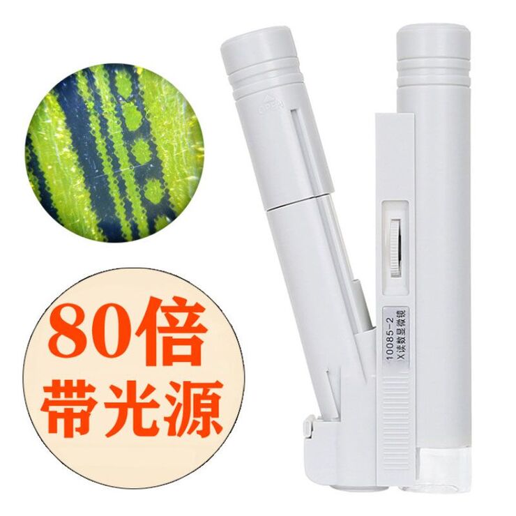 Микроскоп портативный 10085-1F, увеличение: 80X (без шкалы)