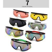 Plastic sport sunglasses Elit 2075-EL