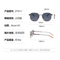 Plastic + metal retro sunglasses Elit ZTT017-EL